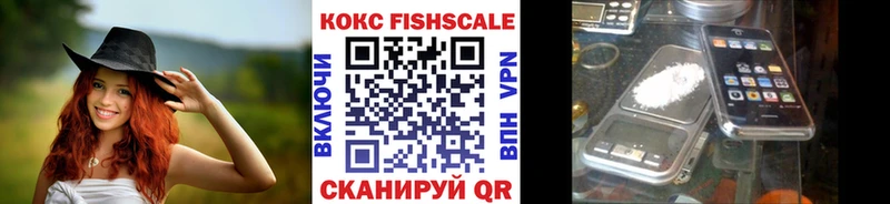 omg ONION  Богородицк  Cocaine Fish Scale 