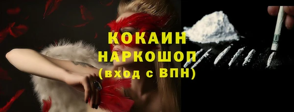 гидра Алексин