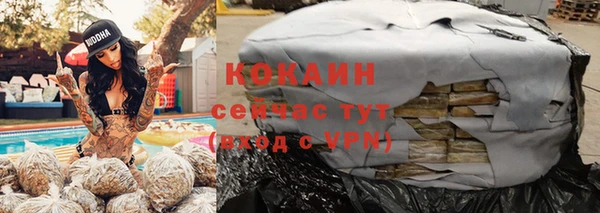 МДПВ Абаза